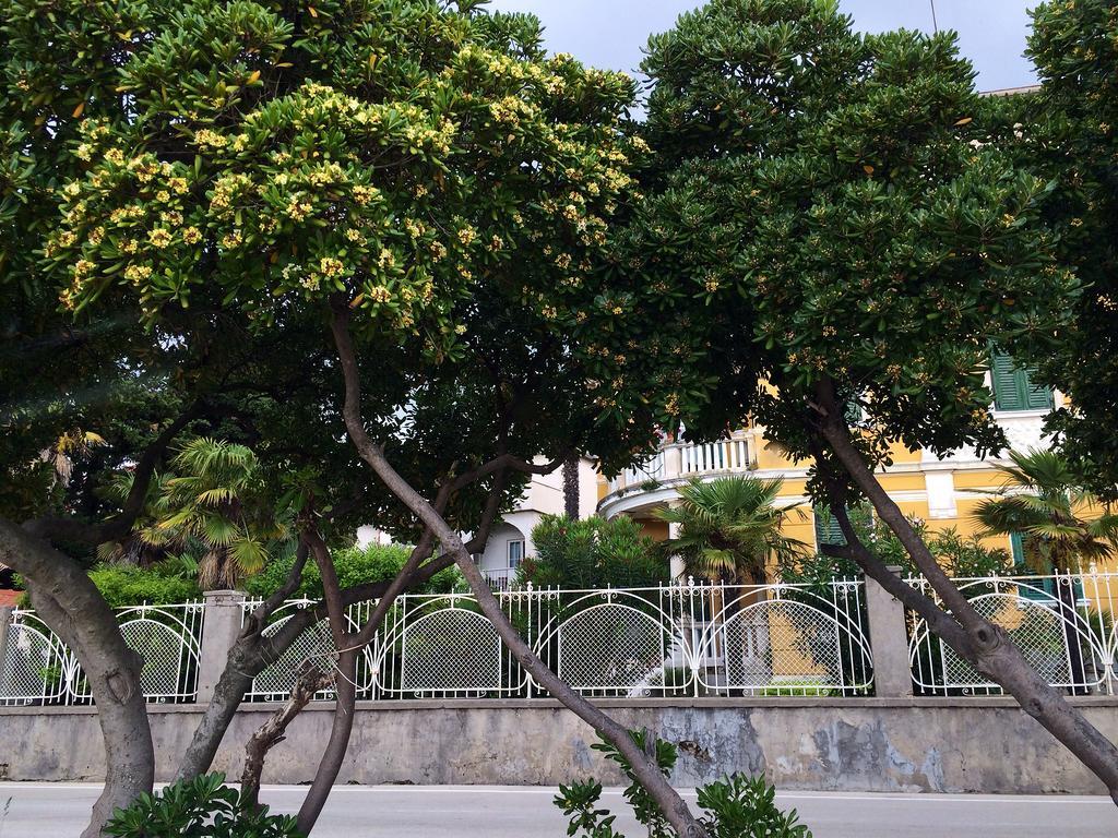 Secret Garden Apartment Задар Стая снимка